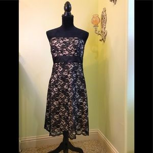 WhiteHouseBlackMarket Lace Dress Sz 6